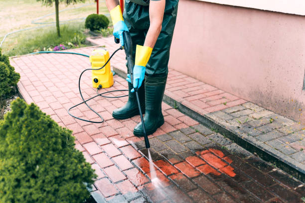 Best Driveway Pressure Washing  in Medina, NY