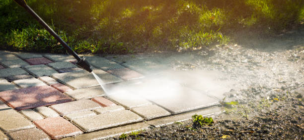 Best Factory Floor Cleaning  in Medina, NY